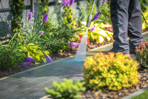Best Gutter Cleaning  in Ashland, CA