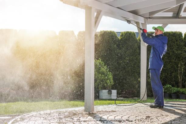 Best Soft Washing  in Ashland, CA