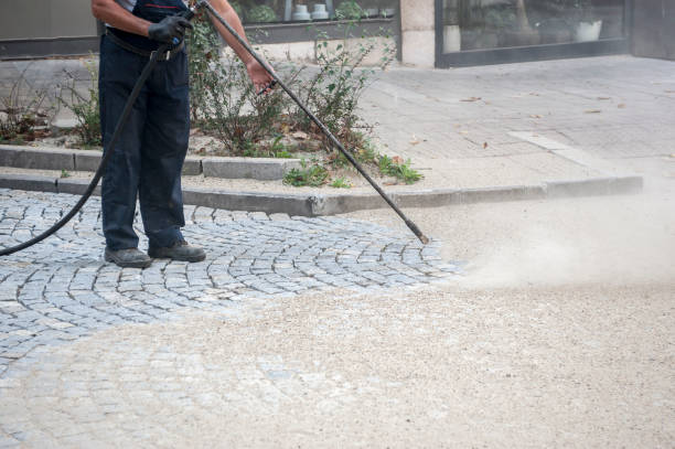Best Driveway Pressure Washing  in Ashland, CA
